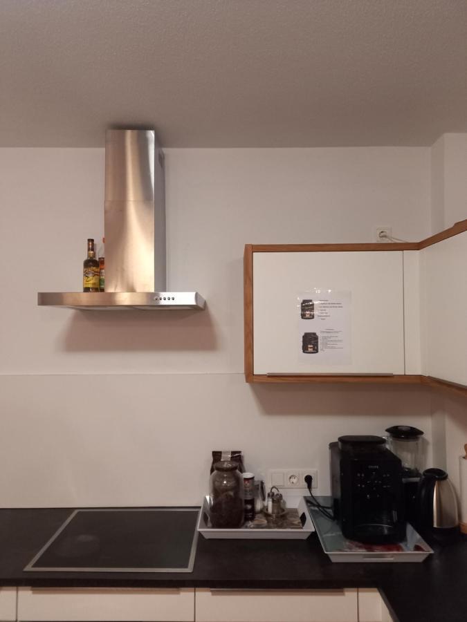 Grosszuegiges Apartment Georg Mayrhofen Barrierefrei Hollenzen エクステリア 写真